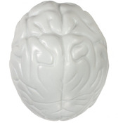 Brain Shape Stress Ball